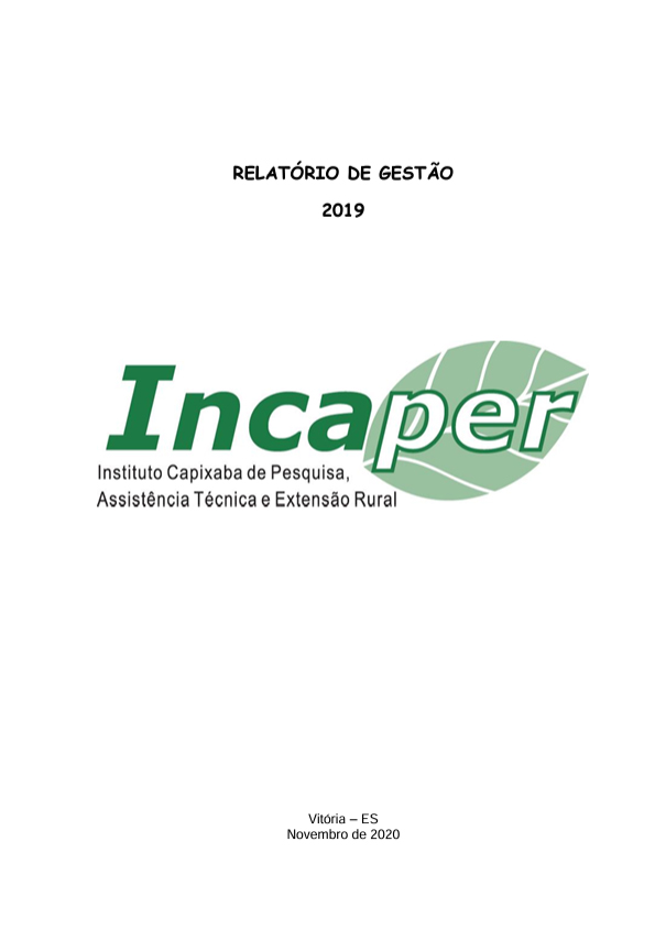 capa_relatorio_gestao_2019