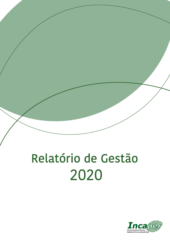 capa_relatorio_gestao_2020